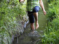 Herbal hike and water treading - at the Partschins Waalweg