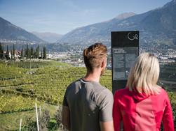 Discover the WineCulturePath of Marlengo