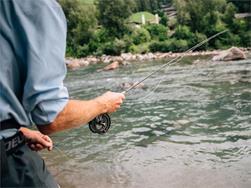 Learn to fish, made easy! (Psairer Langis)