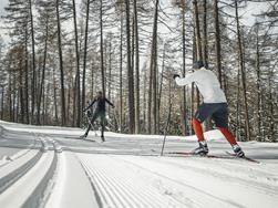 Corsi di sci di fondo a Falzeben
