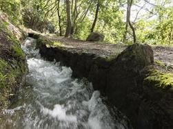 Thermalwasserwanderung am Juvaler Burghügel