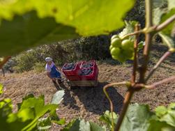 Viticoltura di montagna a Naturno - Visita all'azienda vinicola Unterortl