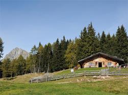 Moschwaldalm Mountain hut