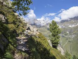 Guided excursion on the Passeiertal valley