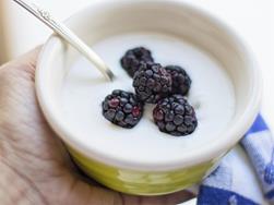TESANA: Mein Joghurt