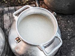 Farm Experience: From Milk to Ricotta (Psairer Langis)