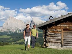Gita in autobus: Alpe di Siusi e Castelrotto - alpeggi e Dolomiti