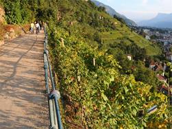 10th Merano Wine Promenade