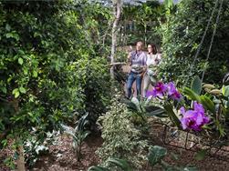 Mondo delle orchidee - floricoltura Raffeiner