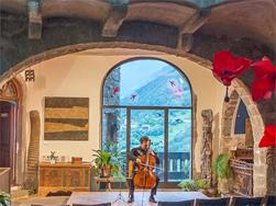 CastelCello: Cellofestival