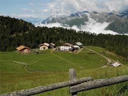 Hirzerhütte Tallner Alm Alp
