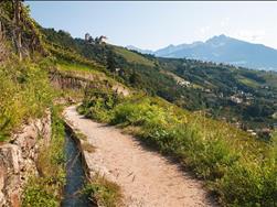 Algunder Waalweg trail from Dorf Tirol/Tirolo