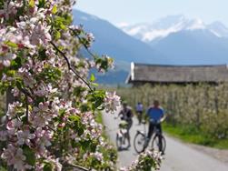 Etsch Bike Route from Meran/Merano to Bozen/Bolzano