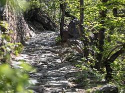 Sentiero didattico - naturalistico Gsindboden