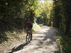 Passeiertal Valley bike route (Merano-S. Leonardo)