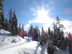 Snowy Loop Hike to Moschwaldalm Mountain Hut