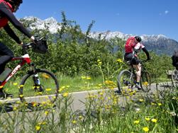 Cycling through Val Venosta Via Claudia Augusta stage Rabland/Rablà-Reschen/Resia