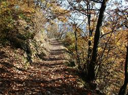 Sentiero per Terrainkur n° 5 - Parcines – sentiero panoramico Monte Sole - Naturno