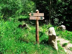 Forest Adventure Trail Aschbach/Rio Lagundo