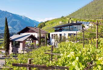 Pratenberg Wine Lodge