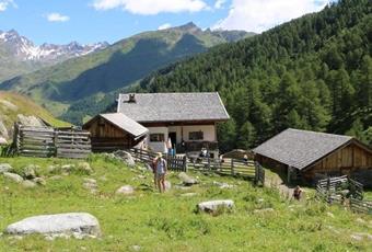 Seeberalm Alp