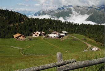 Hirzerhütte Tallner Alm Alp