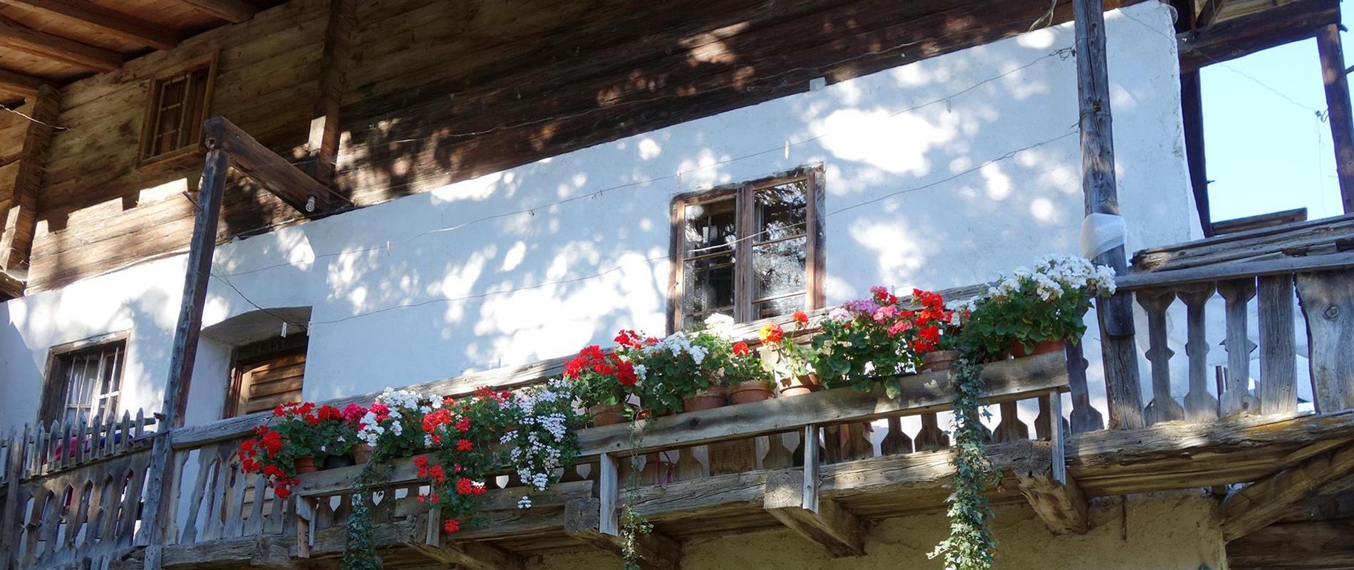 Geschichte und Tradition