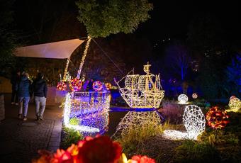Scena si illumina: Vivi la magia di un Natale sereno in Alto Adige