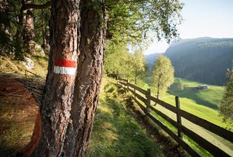 I giganti della natura