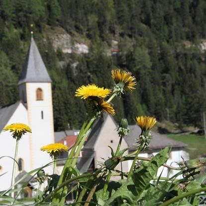 Santuari e chiese in Alta Val di Non