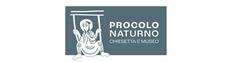 Chiesetta di San Procolo e Museo