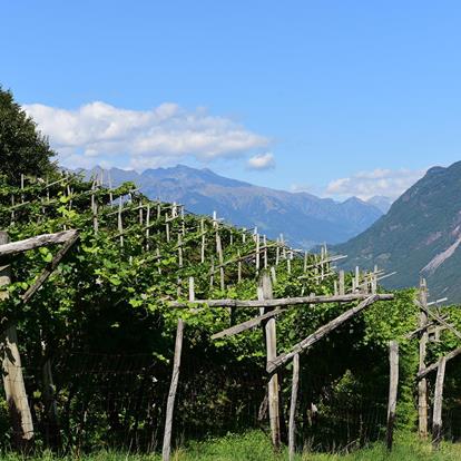 Meteo e webcam a Nalles presso Merano in Alto Adige