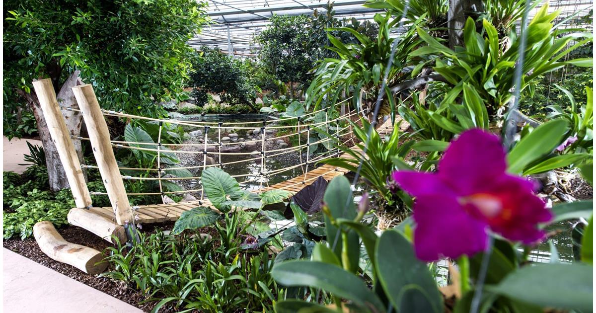 Eine Blume Zum Verlieben Meran Und Umgebung