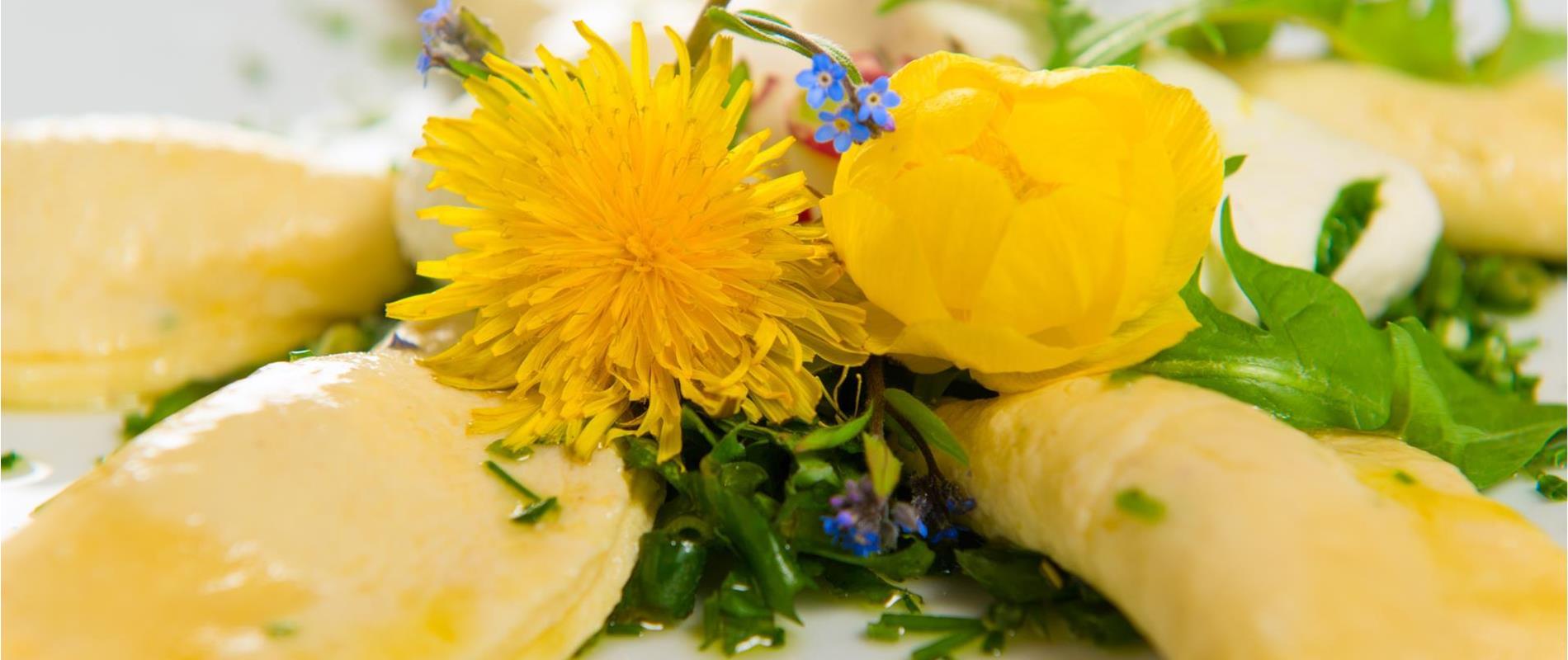 Dandelion Weeks in Deutschnonsberg Region