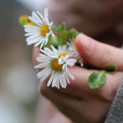 Partschins für alle