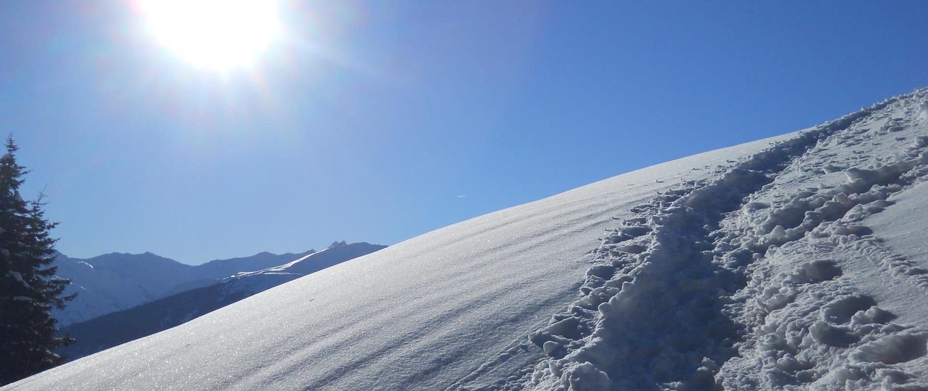 Snowshoeing in the Deutschnonsberg Area