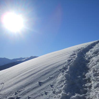 Snowshoeing in the Deutschnonsberg Area