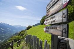 Panoramakarte Naturns