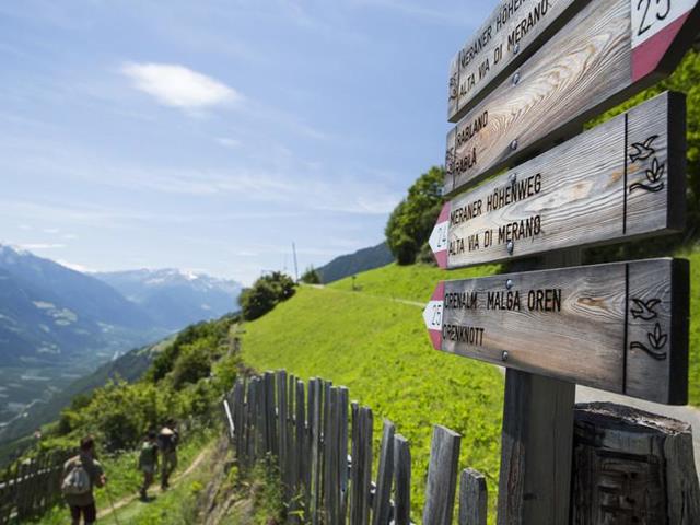 Meraner Höhenweg - IDM Südtirol/Damian Pertoll