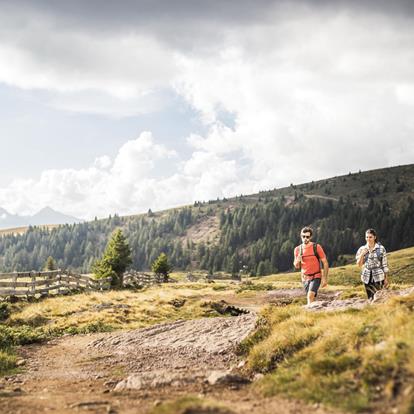 Wandern & Bergsteigen in Hafling-Vöran-Meran 2000