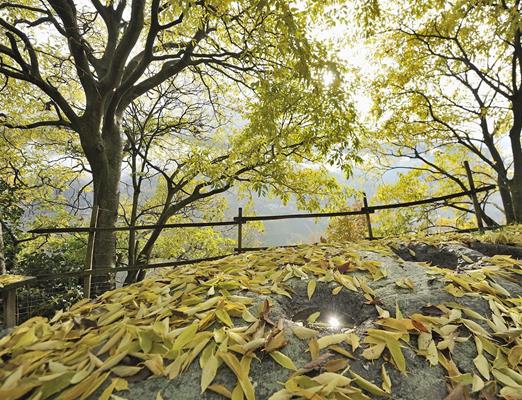natur-schalenstein-schloss-juval-tg-naturns-martin-ruepp-3