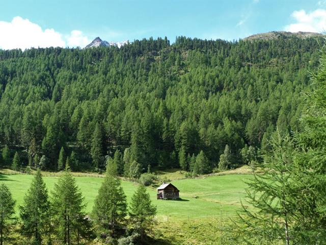 Schnalstal_ValSenales_Südtirol_AltoAdige[30]