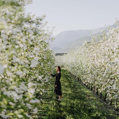 Lana in Bloom