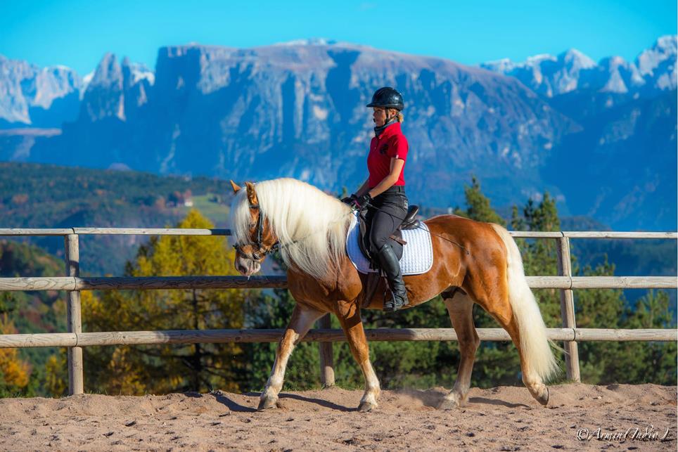 reiten-in-jenesien-copyright-landgasthof-zum-hirschen