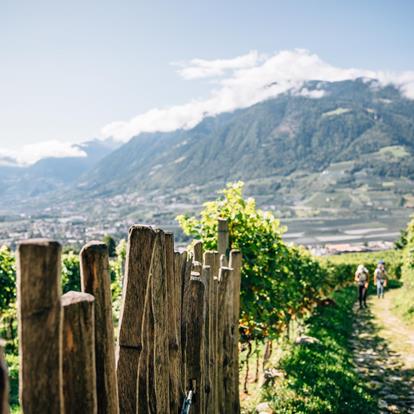 Hiking in Dorf Tirol