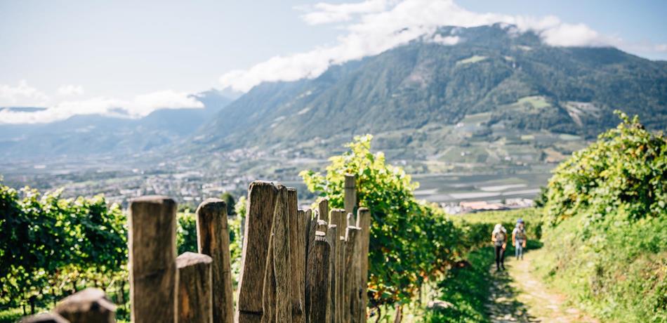 Wandern & Bergsteigen