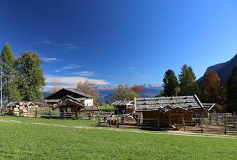 Tierwelt Rainguthof