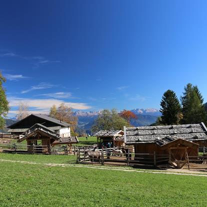 Gli animali del maso Rainguthof