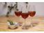 tesana-drink-2019-mit-rosmarin-foto
