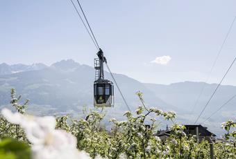 Combicard - drei Bahnen, ein Ticket!